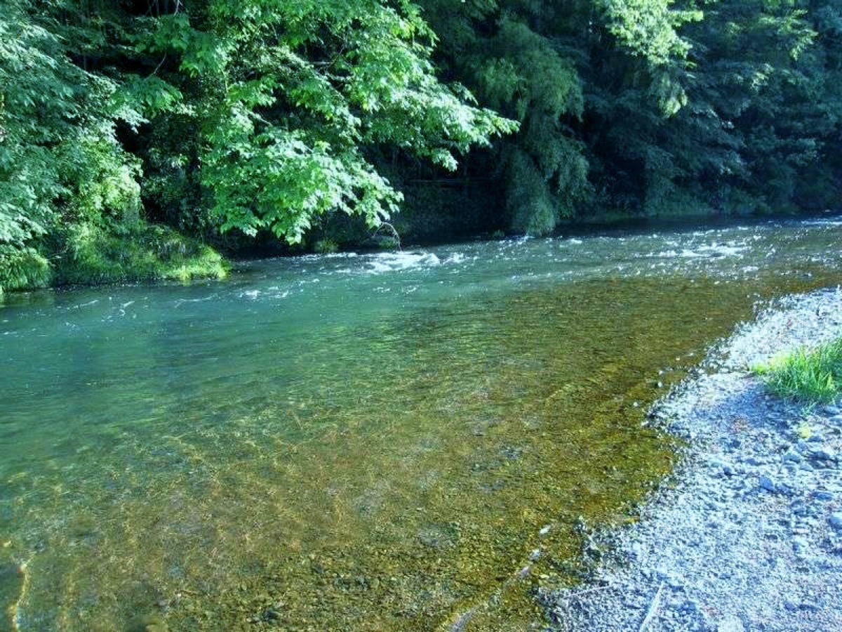 レストハウス名栗 — 清流